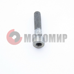 ���� ����� �������, �����. ��� �������.