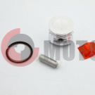 Поршень Alfa 100  1,00  (51,00 р-13) 150FMG TNT Поршень Alfa 100  1,00  (51,00 р-13) 150FMG TNT