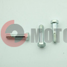 ���� ����������� ���