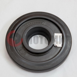 ������ ����� ����� ������� (L30200680)