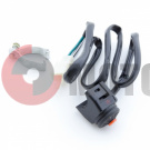 ������ ���� ATV 250 Skaner