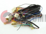 �������� ���� �����