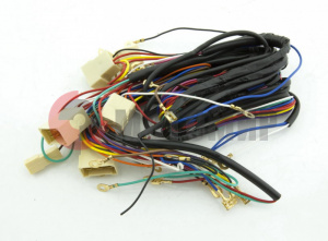 �������� ���� �����