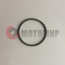 ������� ����� �������� ���������