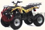 Квадроцикл IRBIS ATV150 150 см3 Квадроцикл IRBIS ATV150 150 см3