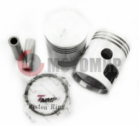 ������� ���6� 2 ���.(�����) (58,50��)