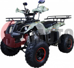���������� Avantis Hunter 8"M 125cc 4� (������ 17 ����!!!)