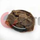 ������ �����25 (67,00) �����.