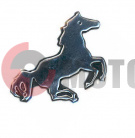 �������� ���� ������