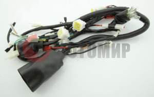 Проводка 4Т 250 Blaze250 Проводка 4Т 250 Blaze250