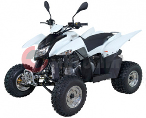 ATV QuadRaider 300 SD белый независимая подвеска ATV QuadRaider 300 SD белый независимая подвеска