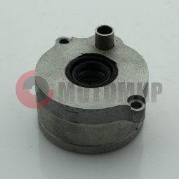 ����� ����� �/�