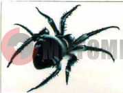 Наклейка Паук (050*65) пр. Наклейка Паук (050*65) пр.