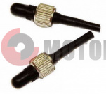 ������� ���� � �����