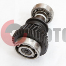 ��� �/� ���� � �����