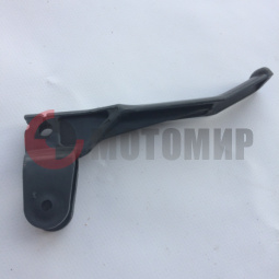 ����� ��������� ����