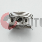 ������� 4T CG250 .STD (?62,00 �-15) ���