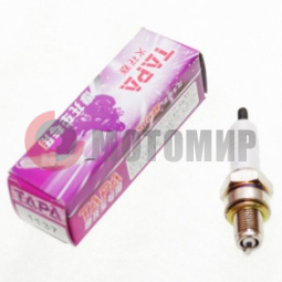 �����  A7TC (M10*1,00 12,7mm) (4�.GY6 50, Delta) TARA (1137) (class-�)