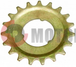 ��������� ���� ����.19 ���