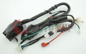 �������� 4� 250 Amagi250