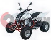 ATV QuadRaider 450   