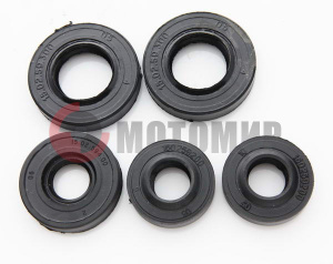 ����� ��������� ����