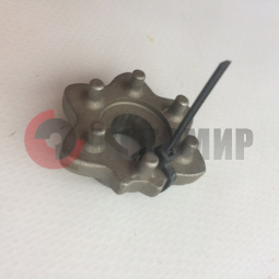 ���� �������� ������������ ����� (�������)