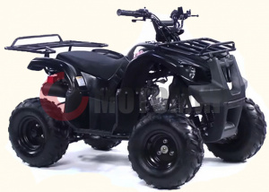 ATV Irbis 110 U ATV Irbis 110 U