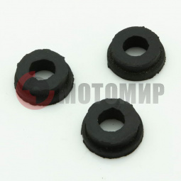 ����� ��������� (�������)