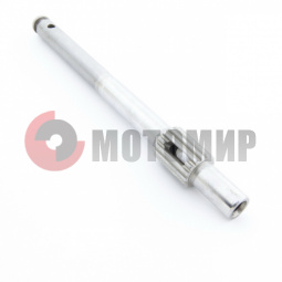 ��� ������ �����.(����������.)