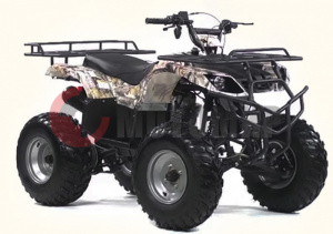 ���������� IRBIS ATV200 200��3