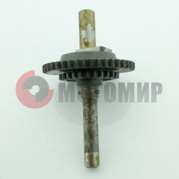 ��� ���� ����������� � ����� � ���������