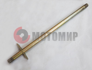 ��� ����� �40200390