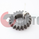 �������� ���� ����� 20