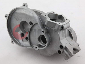 ������ ���.+����.����� F50