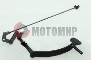 ���� ������� ���� � �������