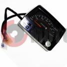 Щиток приборов Дельта квадратный 60км/ч. Щиток приборов Дельта квадратный 60км/ч.