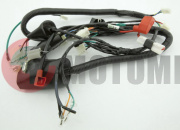 Проводка  4Т 150   Sport150 Проводка  4Т 150   Sport150