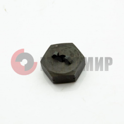 ����� ������ ���������� ����