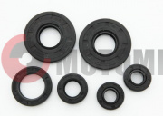 Набор Пилот сальников Набор Пилот сальников