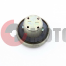 ������ ��������� 50cc ������ (17)