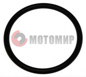 ������ ����� �������������� ��������� ����