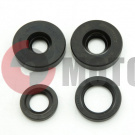 ����� ������ ��������� (4 ��.)