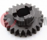 ��������� ���� Z24 (113,06,010,021)