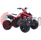 ATV Irbis 110 S