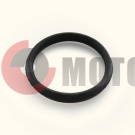 Уплотнение Ветер.корп. помпы (616332) Уплотнение Ветер.корп. помпы (616332)