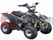 ATV Irbis 50 S
