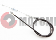 ���� ����� ���������