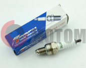 ����� A7R�C (M10*1,00 12,7mm) (4�.GY6 50, Delta) TORCH