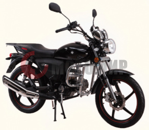 �������� Irbis GS 110cc 4�.
